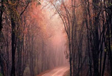 英媒深度： 中国足球为什么梦想破灭 腐败+金字塔倒置.