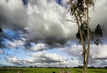 亚星体育官网：再见！曝皇马不与“24冠”先生续约，今夏引进尤文勒沃库森2强援.