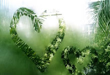 亚星体育官网：英媒：帕尔默和马杜埃凯已回归切尔西合练.