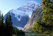 亚星体育官网：米兰,我们来了!中国女子冰壶队战胜韩国获世锦赛铜牌__财经头条.