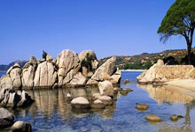 展望米兰冬奥会，中国速度滑冰队目标：再夺金中国新闻网.